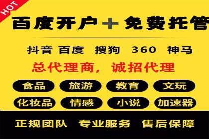 竞价推广与SEM托管结合的营销策略——某电商平台的实践