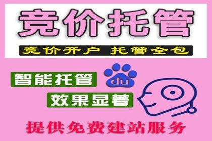 SEM代运营公司案例分析报告